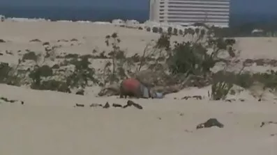 Legg bionda blonde fucked af maskerede fyre