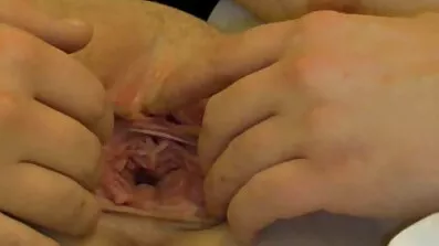 Smuk dukke fucks pige fisse med hånd