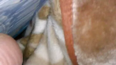 Lidenskabelige brunetter fuck med en meget rig elsker