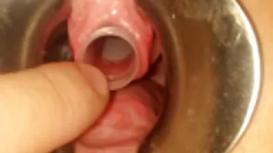 Under indflydelse af lidenskab, lesbiske lavet en vild orgie og kom