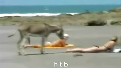 Skjulte filmede piger engageret i pranks